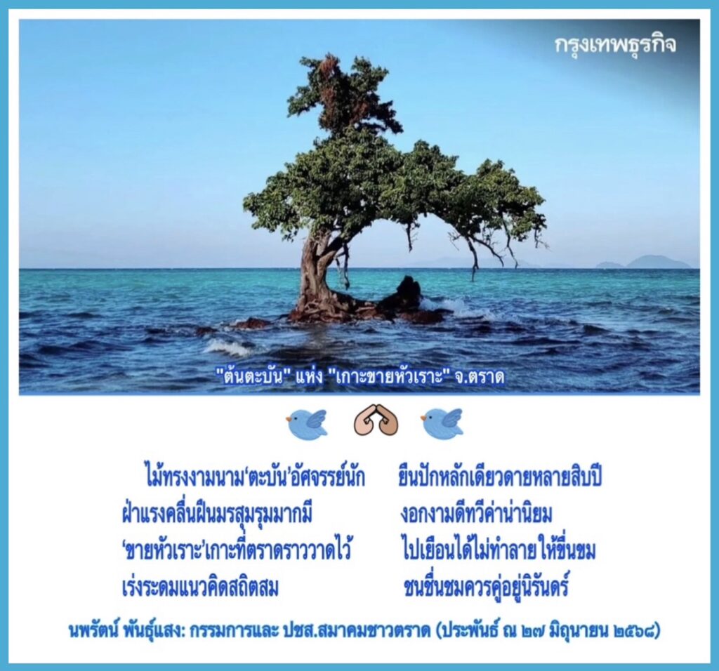 ทีมประชาสัมพันธ์ แต่งกลอน ร่วมอนุรักษ์ต้นตะบัน”เกาะขายหัวเราะ” จ.ตราด